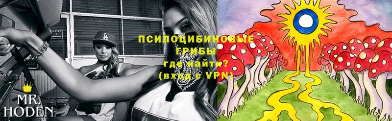 Псилоцибиновые грибы Psilocybe  продажа наркотиков  mega зеркало  Бородино 